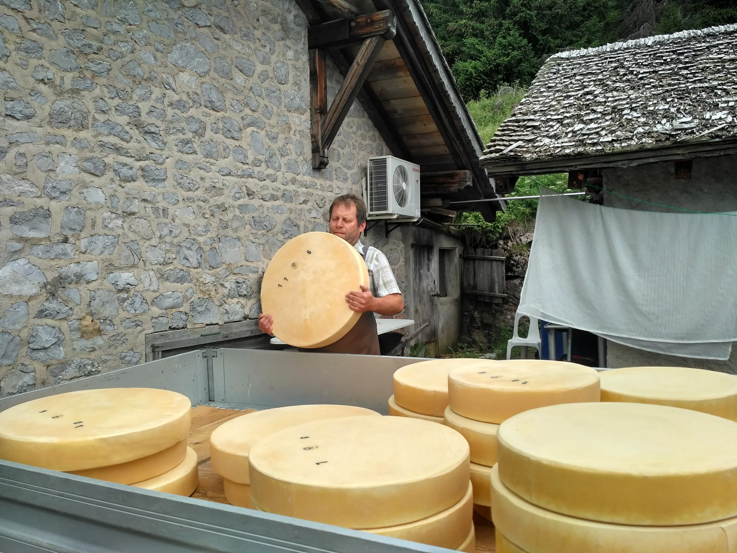 meules de fromage français et son fromager